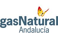 Colaboradores de Gas Natural